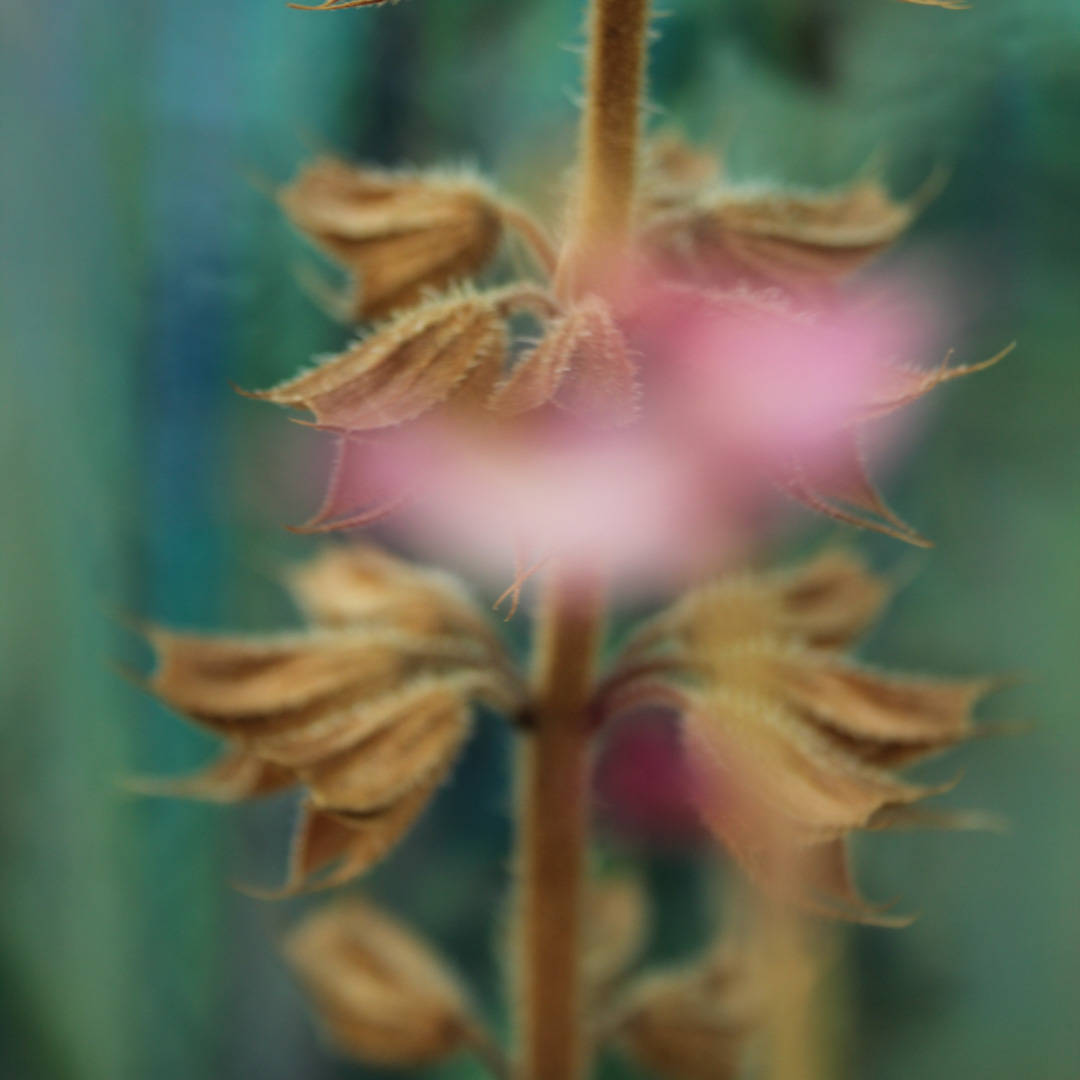 Be_Present